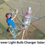 tower light bulb changer salary