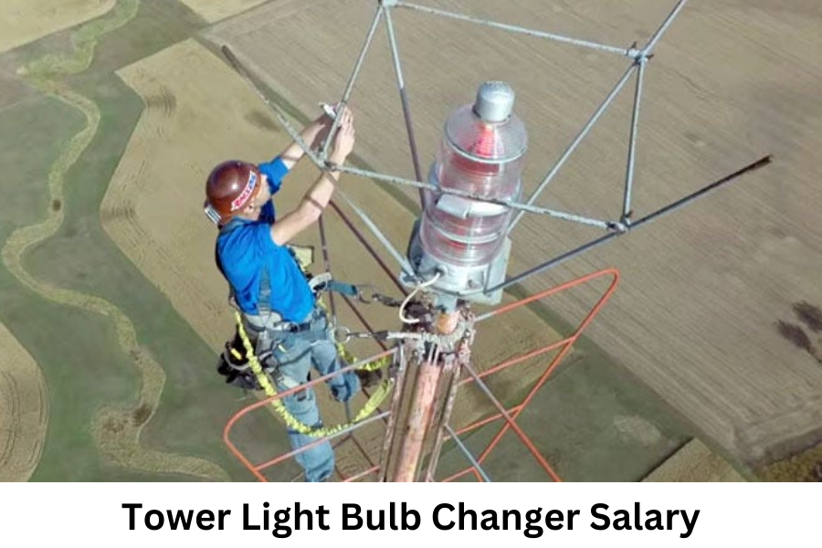 tower light bulb changer salary