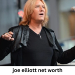 joe elliott net worth