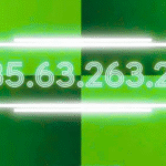185.63.263.20