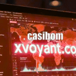 casibom xvoyant.com